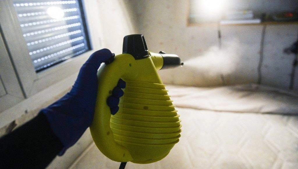 Intoxications en hausse : l'Anses tire la sonnette d'alarme contre un insecticide interdit, lié aux punaises de lit 