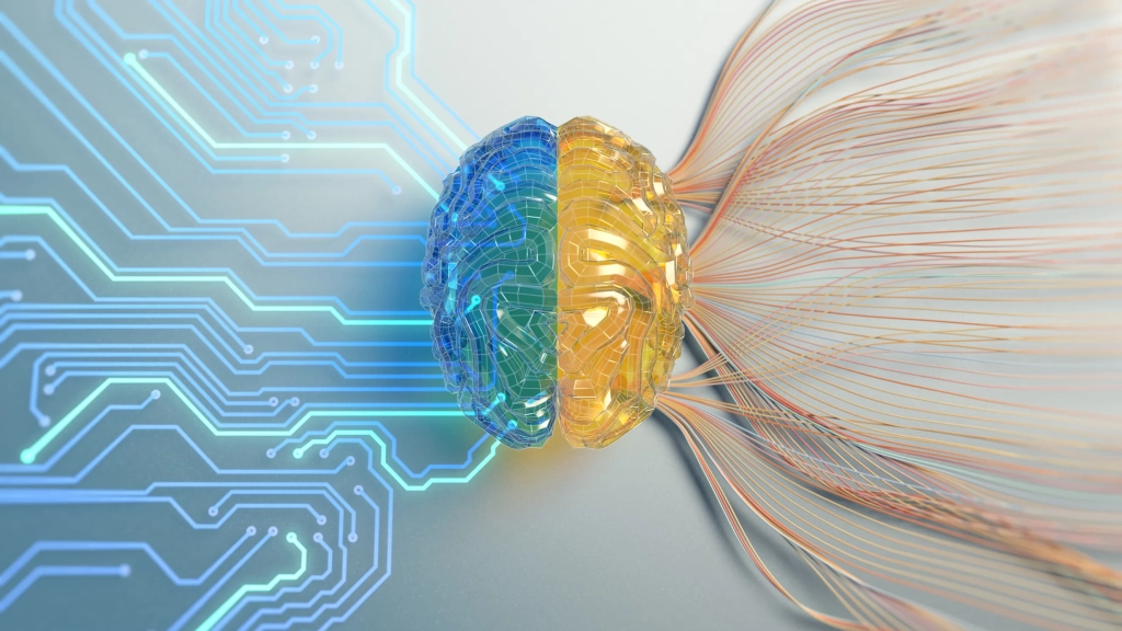"Vers une puissance informatique durable : un bio-ordinateur de cellules cérébrales humaines"