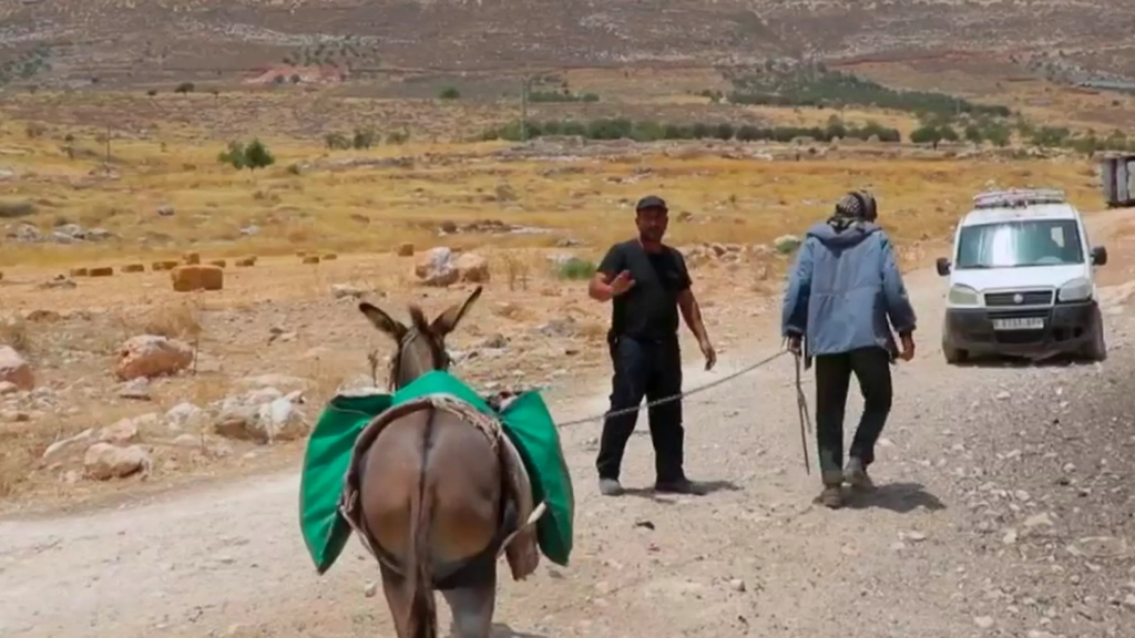 VIDEO. Guerre entre Israël et le Hamas : en Cisjordanie, la colonisation à marche forcée pour les Palestiniens